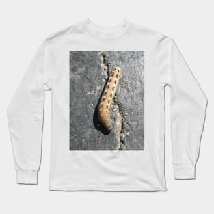 Caterpillar Long Sleeve T-Shirt